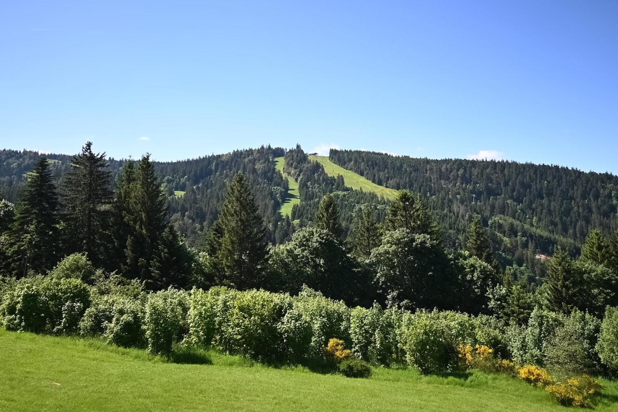 Le Nid Des Vosges - Appt Vue Montagne Apartment Gerardmer Exterior photo